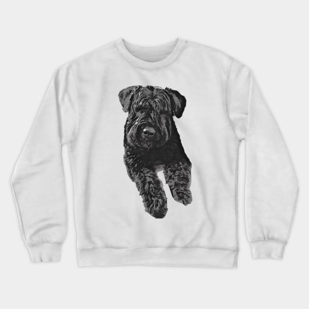 Bouvier Des Flandres Crewneck Sweatshirt by Claireandrewss